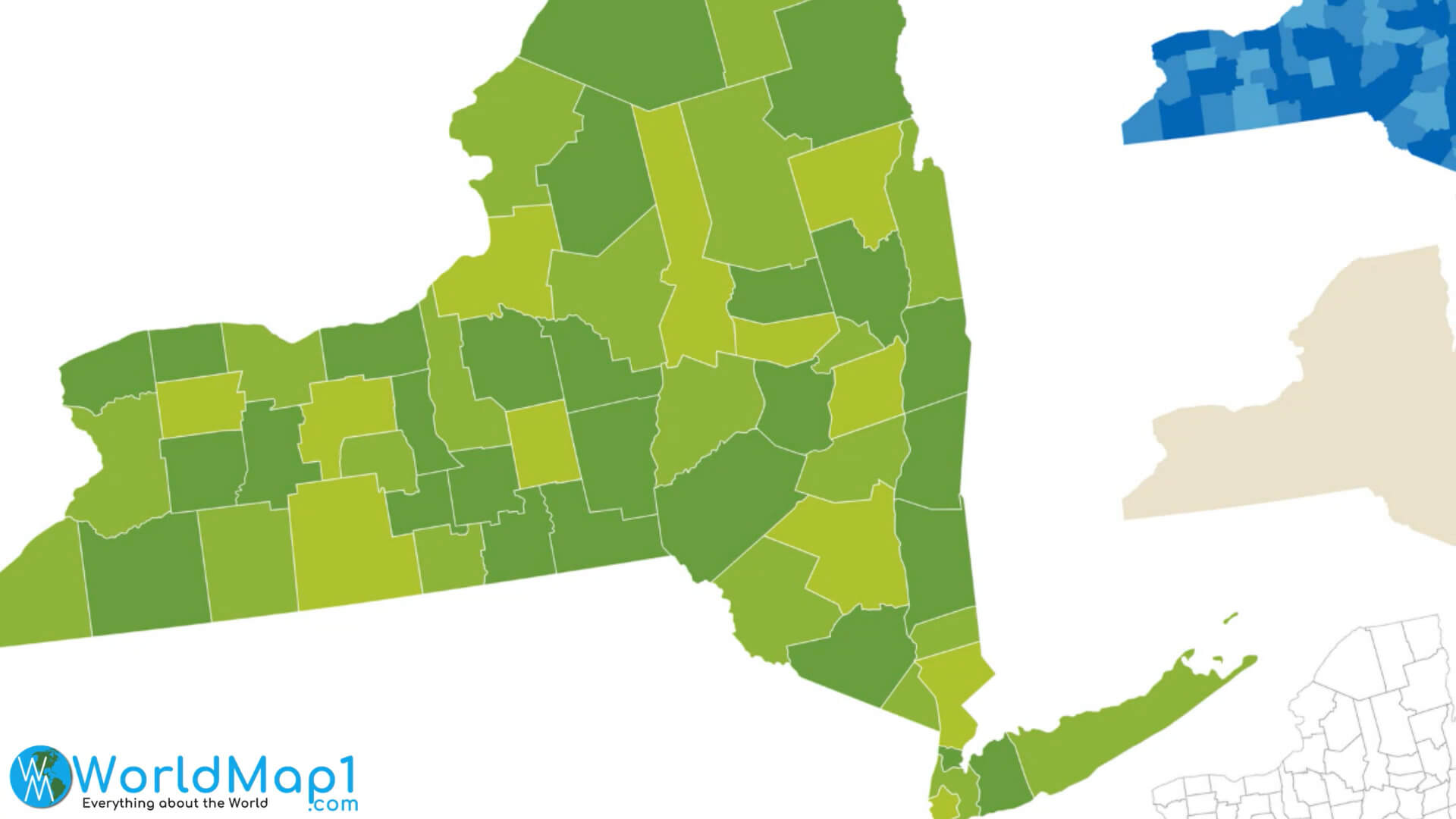 Blank Map of New York with Counties Border